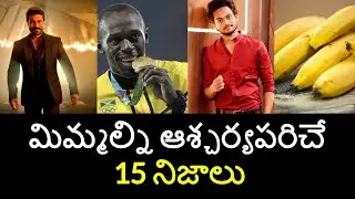 Top 15 Unknown Facts in Telugu | Interesting and Amazing Facts | Part 92 | Minute Stuff