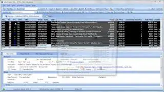 SellerEngine Plus: Custom Imports and Exports
