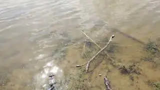 Presa Pedro José Méndez Hidalgo Tamaulipas