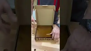 Стамески Narex Wood Line Plus столярные короткие в деревянном кейсе 4 шт 6, 12, 20, 26 мм 853750