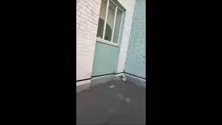 ИРИНА ХАРИТОНЕНКО в прямом эфире!