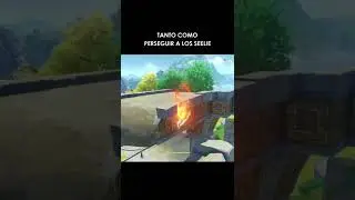 Bug en Genshin Impact
