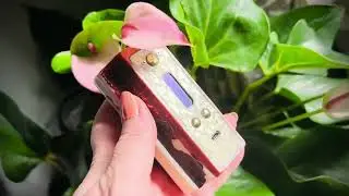 "Perdition" a twin 18650 stabwood hybrid DNA250