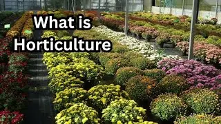 What is Horticulture? Definition, Introduction & scope