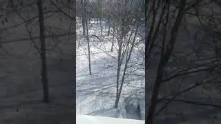 Между нами тает снег `^`