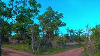 Mabalingwe, An afternoon drive