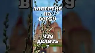 Аллергия на вербу, что делать?