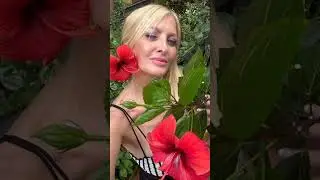 🌺AMALIA YUYITO GONZÁLEZ 