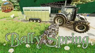 Stock Check! | FS22 | Bally Spring | Episode 16