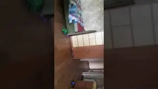 Бэкстэйдж,как проходят стримы