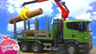 Спецтехника BRUDER. Игры и игрушки для мальчиков. Bruder Toys. Машина Лесовоз Scania с краном