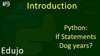 #9 - Introduction to Python: If Statements - Dog Years