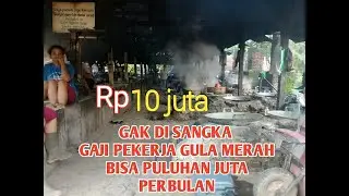proses pembuatan gula merah hingga dapat penghasilan jutaan rupiah perbulan...