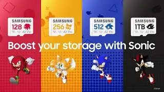 Sonic the Hedgehog PRO Plus microSD card | Samsung