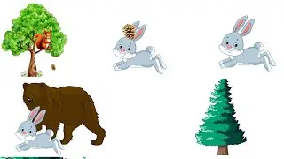 Дикие животные. #медведь В.Шульжик