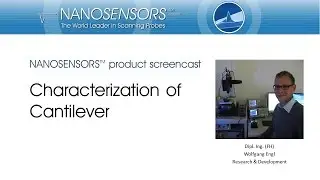 Calibration Service for AFM Cantilever