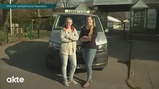 Hilfe für verwahrloste Haustiere | Akte | SAT.1