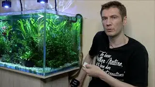 Свет в растительном аквариуме
