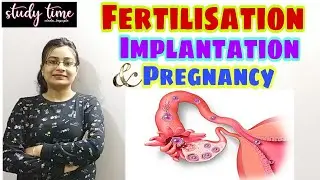 Fertilisation| Implantation & Pregnancy| Reproductive System ICSE & CBSE Class-10 Bio #boardexam2023