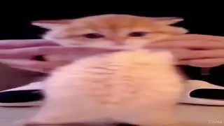 Chipi Chipi Chapa Chapa  (Remix)  (tone -6)