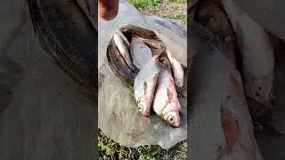 ИЖ Планета 5.Батя вернулся с рыбалки
