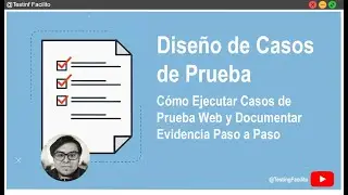 5. How to Run Web Test Cases and Document Evidence Step by Step