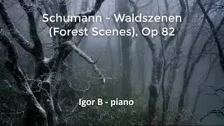 Igor Besschastny -  Schumann -  Waldszenen (Forest Scenes), Op 82.4