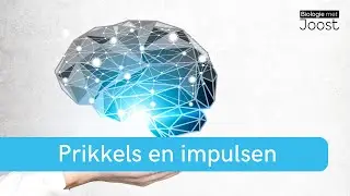 Prikkels en impulsen | Creatief met Biologie