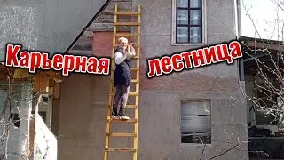 Карьерная лестница
