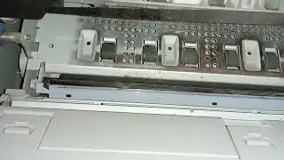 EPSON PLQ 20/30 Printer Printing Problem Solved