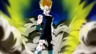 DBZ-Wolves At The Gate-SafeGuards.