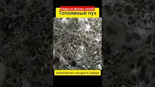 #томск