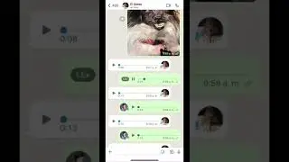 SERÁ QUE PUEDEN CUIDAR A MI PERRITO🥺#Shorts | PARCEROS
