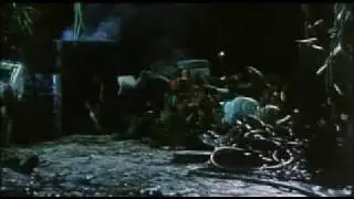 The Cat (clip)