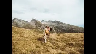 HORSERIDING IN THE SWISS ALPS