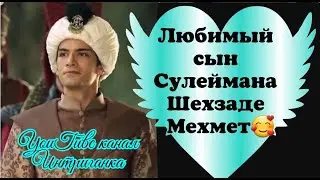 Любимый сын Сулеймана шехзаде Мехмет. Великолепный век (Интриганка)