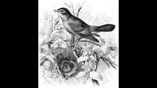 Bill Mays, "A Nightingale Sang In Berkeley Square"