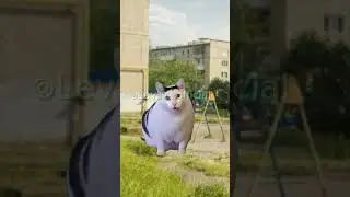 Вот почему мы не должный ходить в школу?🤔