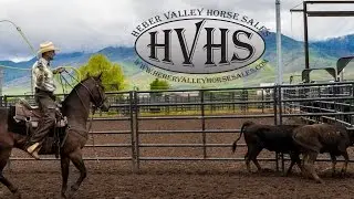 Heber Valley Horse Sales