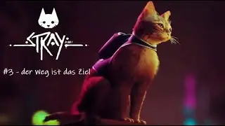 Stray | Part 3 - Der Weg ist das Ziel