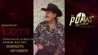 EL PERIQUERO - RAMON BALVER Y LOS PUMAS DEL NORTE