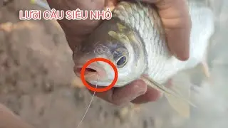 Super small hook, can you catch big fish?