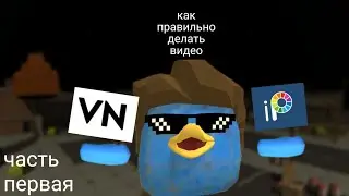 как правильно снимать видео с VN и ip