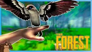 The Forest (2021)