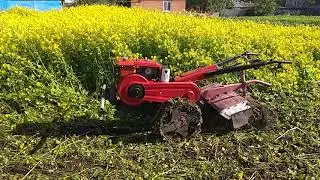 фрезеровка горчицы очень большой