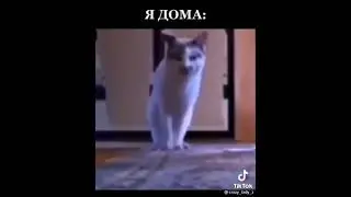как ведёт себя девушка одна дома! #shorts