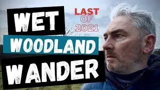 Wet Woodland Wander - Last of 2021