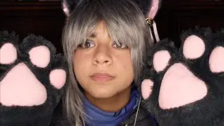 ASMR CAT CAFE | Disinterested Grey Cat Comforts You (Hand movements, Mouth sounds)