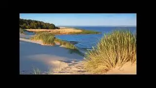Club Des Belugas - La mer