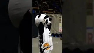 Avtodor highlights vs. Minsk🔥